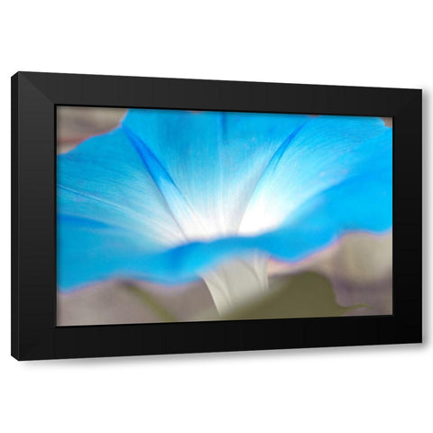 blue Black Modern Wood Framed Art Print with Double Matting by Stalus, Judy