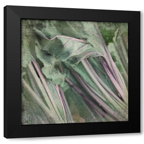 Day Dream Black Modern Wood Framed Art Print with Double Matting by Stalus, Judy