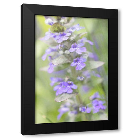 Blue Day Black Modern Wood Framed Art Print with Double Matting by Stalus, Judy