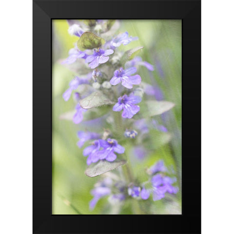 Blue Day Black Modern Wood Framed Art Print by Stalus, Judy