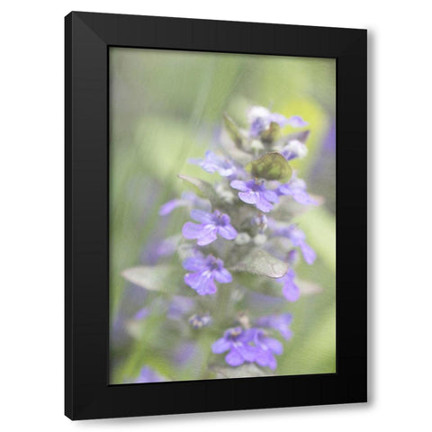 Blue Morning Black Modern Wood Framed Art Print by Stalus, Judy