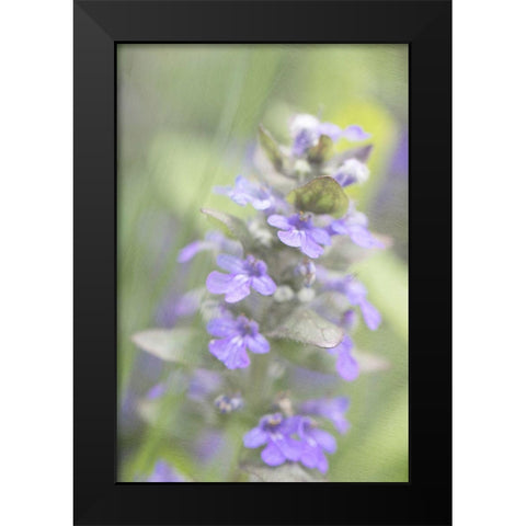 Blue Morning Black Modern Wood Framed Art Print by Stalus, Judy