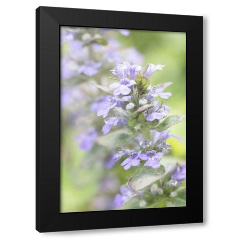 Blue Light Black Modern Wood Framed Art Print by Stalus, Judy