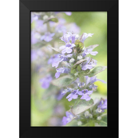 Blue Light Black Modern Wood Framed Art Print by Stalus, Judy