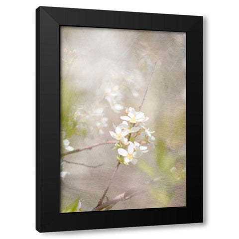 Mystery Black Modern Wood Framed Art Print by Stalus, Judy