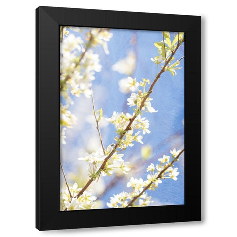 Blue Sky Black Modern Wood Framed Art Print with Double Matting by Stalus, Judy
