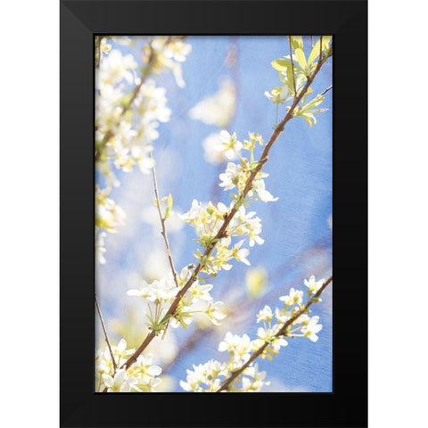 Blue Sky Black Modern Wood Framed Art Print by Stalus, Judy