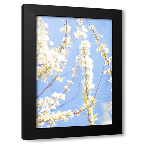 Blue Morning Black Modern Wood Framed Art Print with Double Matting by Stalus, Judy