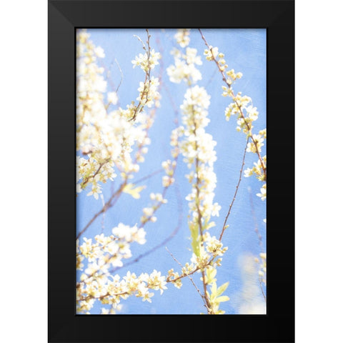 Blue Morning Black Modern Wood Framed Art Print by Stalus, Judy
