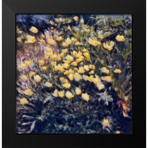 Buttercups Black Modern Wood Framed Art Print by Stalus, Judy