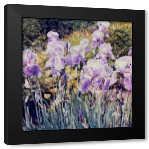 Iris Garden Black Modern Wood Framed Art Print by Stalus, Judy