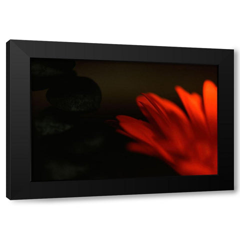 Flame Black Modern Wood Framed Art Print by Stalus, Judy