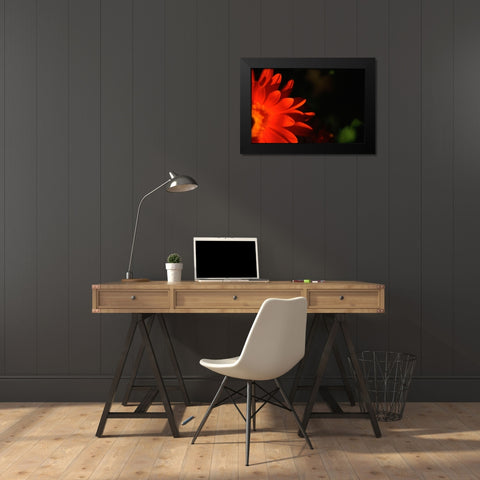 Red Sun Black Modern Wood Framed Art Print by Stalus, Judy