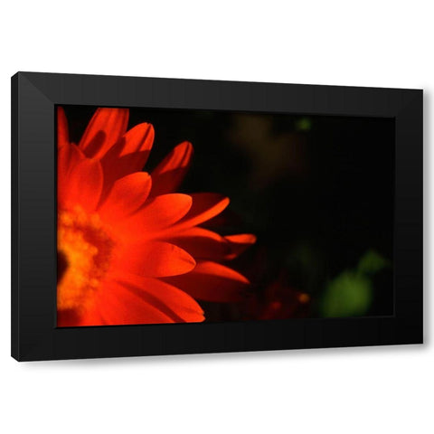 Red Sun Black Modern Wood Framed Art Print by Stalus, Judy