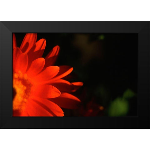 Red Sun Black Modern Wood Framed Art Print by Stalus, Judy