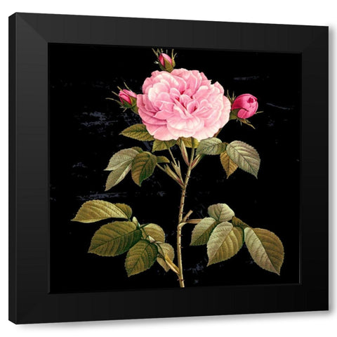 In Bloom I Black Modern Wood Framed Art Print with Double Matting by Smith, Karen