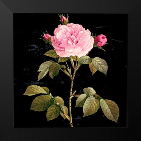 In Bloom I Black Modern Wood Framed Art Print by Smith, Karen