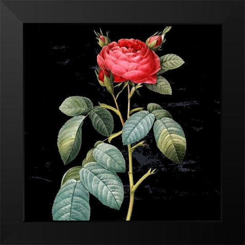 In Bloom II Black Modern Wood Framed Art Print by Smith, Karen