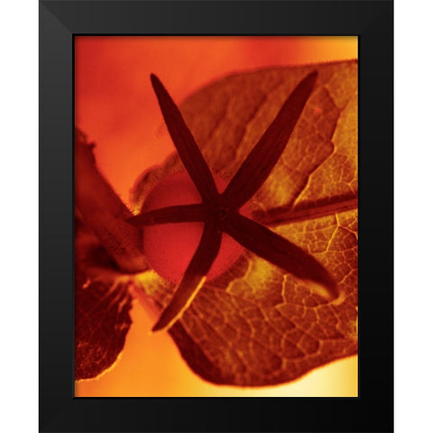 Sun Kissed I Black Modern Wood Framed Art Print by Surma And Guillen