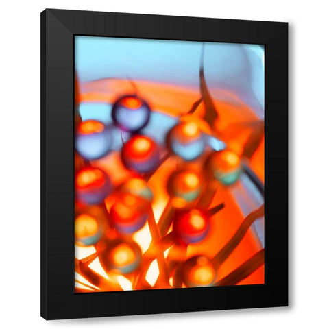 Ice Flower II Black Modern Wood Framed Art Print with Double Matting by Surma And Guillen