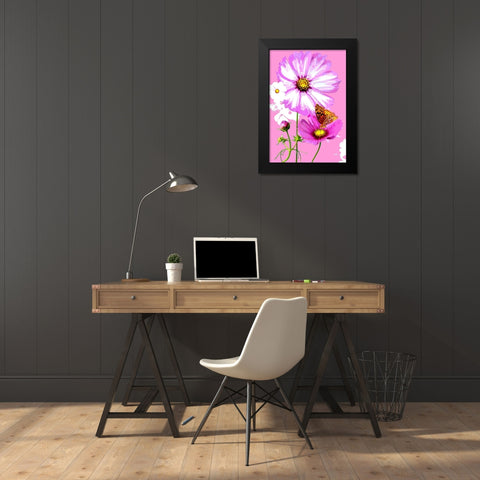 Butterfly on Cosmos Black Modern Wood Framed Art Print by Evalia Designs