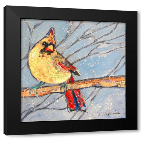 Winter Cardinal Female Black Modern Wood Framed Art Print with Double Matting by St Hilaire, Elizabeth
