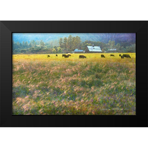 Barn and Foxtail Cherry Creek Black Modern Wood Framed Art Print by Vest, Christopher