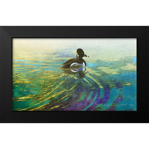 Male Ring Billed Duck Black Modern Wood Framed Art Print by Vest, Christopher