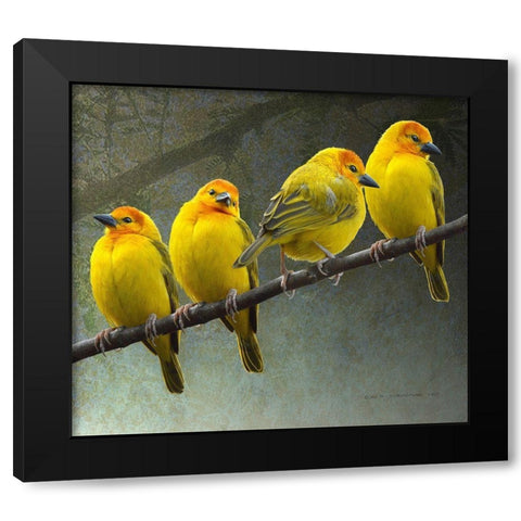 Golden Taveta Weavers Black Modern Wood Framed Art Print by Vest, Christopher