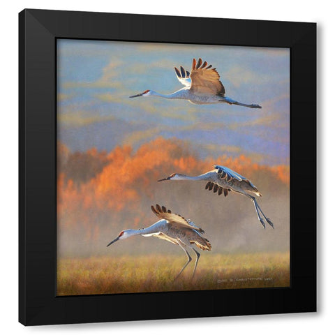 Mid Morning at the Bosque Black Modern Wood Framed Art Print by Vest, Christopher