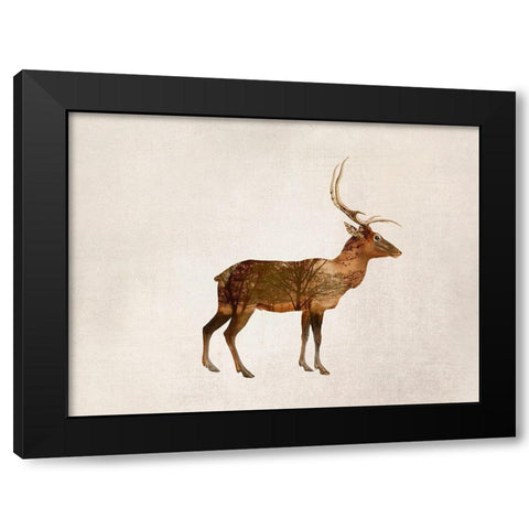 Wild Deer Black Modern Wood Framed Art Print by Haase, Andrea