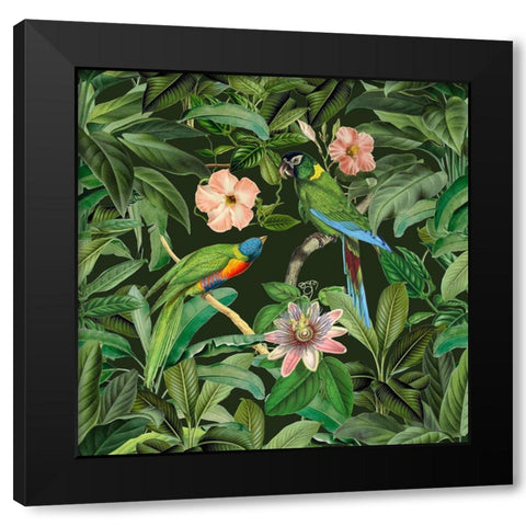 Exotic Paradise Jungle Birds Black Modern Wood Framed Art Print with Double Matting by Haase, Andrea