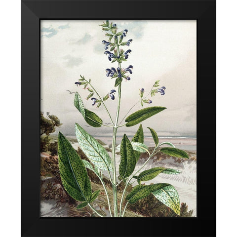 Wild Shoot IV Black Modern Wood Framed Art Print by Smith, Karen