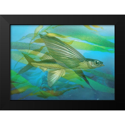 Seaweed Swimmer I Black Modern Wood Framed Art Print by Hunziker, Steve