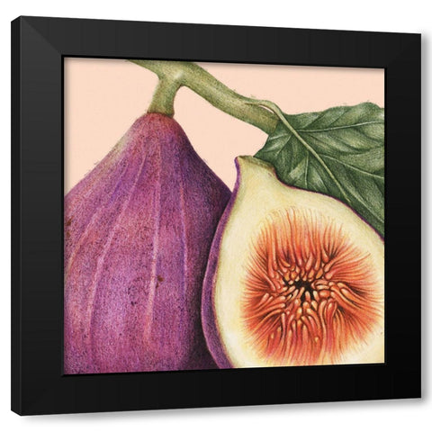 JuiceyFruit I Black Modern Wood Framed Art Print with Double Matting by Hunziker, Steve