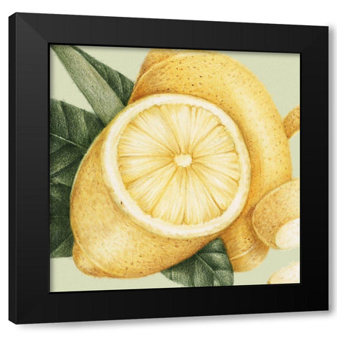 JuiceyFruit III Black Modern Wood Framed Art Print with Double Matting by Hunziker, Steve