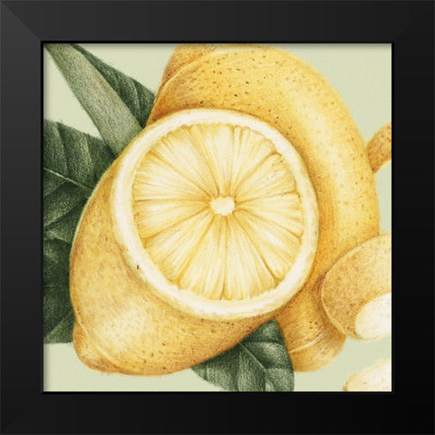JuiceyFruit III Black Modern Wood Framed Art Print by Hunziker, Steve