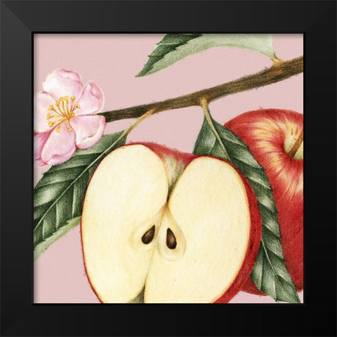 JuiceyFruit IV Black Modern Wood Framed Art Print by Hunziker, Steve