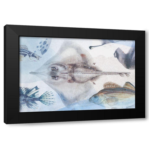 Deep Sea IV Black Modern Wood Framed Art Print with Double Matting by Hunziker, Steve
