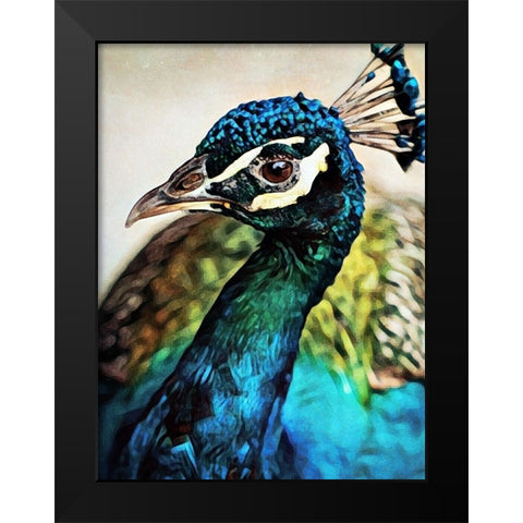 Peacock Pretty And Proud Black Modern Wood Framed Art Print by Aldridge, Ashley