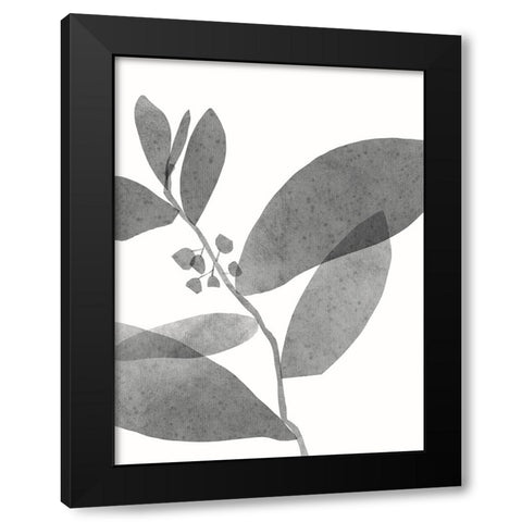 New Roots II Black Modern Wood Framed Art Print by Holman, Nicholas