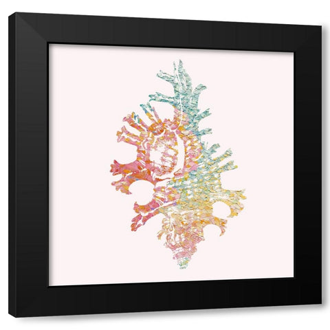 Bahama Shell I Black Modern Wood Framed Art Print with Double Matting by Guillen, Surma