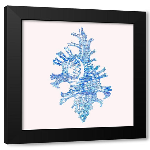 Bahama Shell II Black Modern Wood Framed Art Print by Guillen, Surma