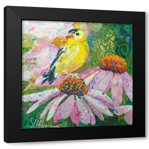 Finch on Coneflowers Black Modern Wood Framed Art Print by St Hilaire, Elizabeth