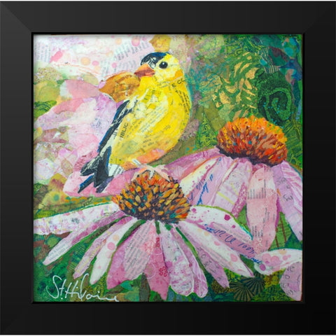 Finch on Coneflowers Black Modern Wood Framed Art Print by St Hilaire, Elizabeth