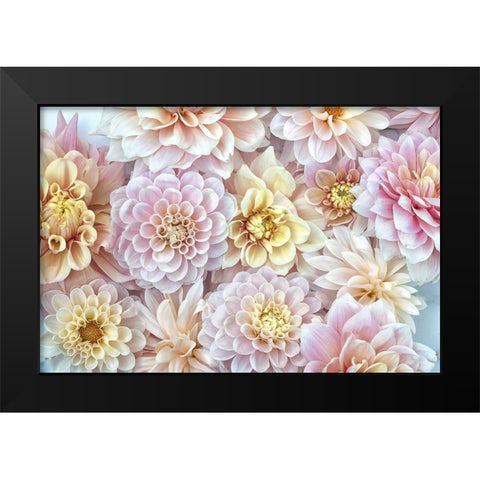 Dahlia Tapestry I Black Modern Wood Framed Art Print by Stalus, Judy