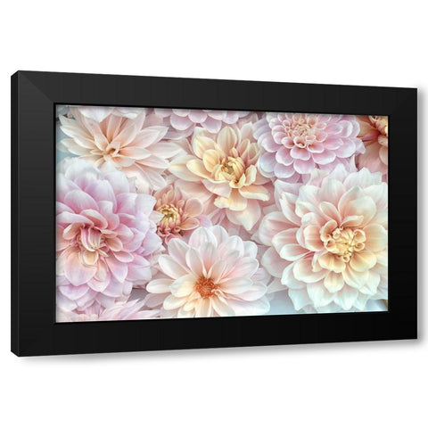 Dahlia Tapestry II Black Modern Wood Framed Art Print by Stalus, Judy