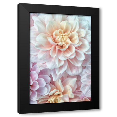 Pink and Gold Black Modern Wood Framed Art Print with Double Matting by Stalus, Judy