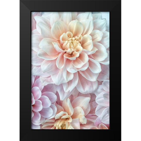 Pink and Gold Black Modern Wood Framed Art Print by Stalus, Judy