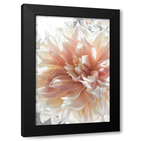 Dazzle Black Modern Wood Framed Art Print by Stalus, Judy